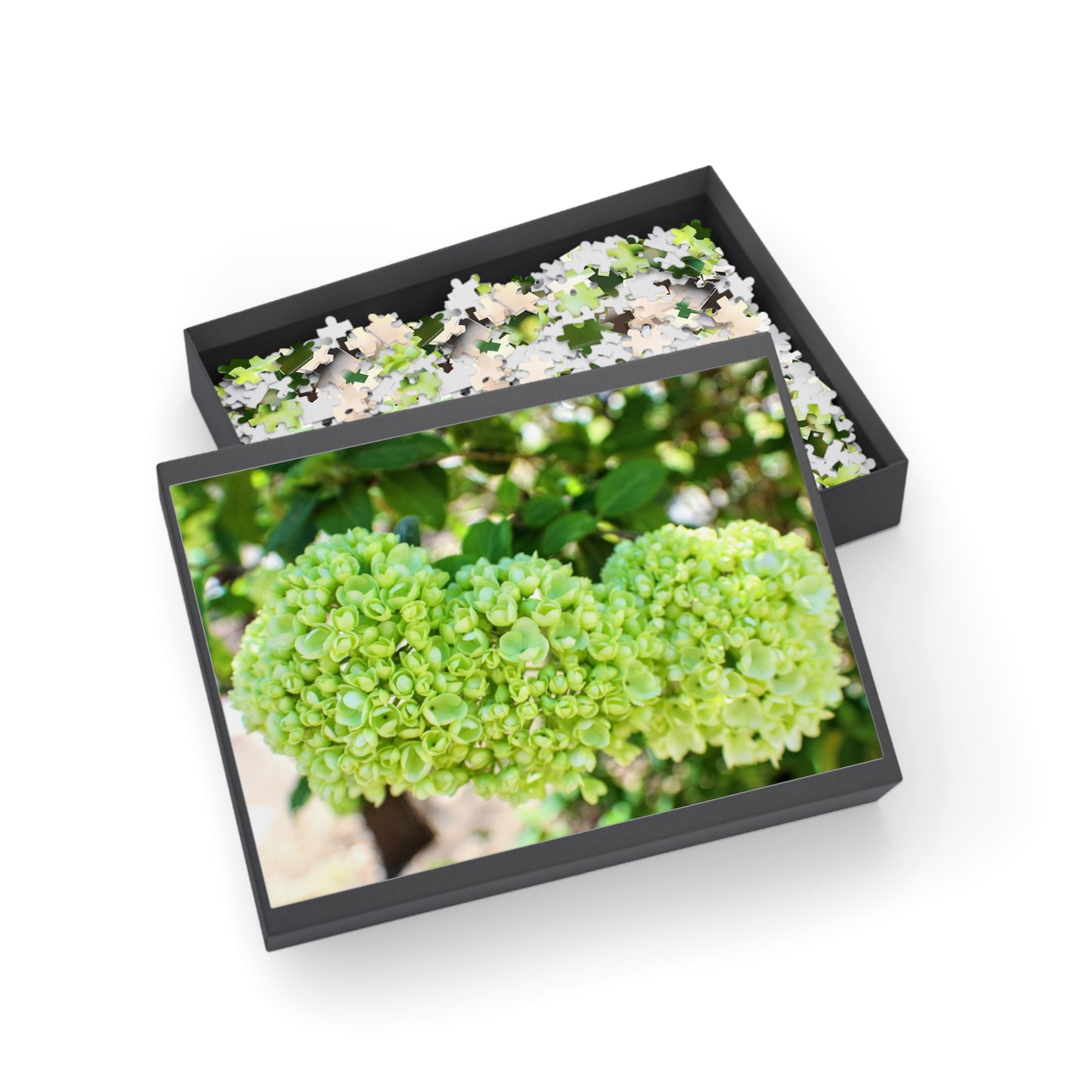 Snowball Blossom Cluster Puzzle