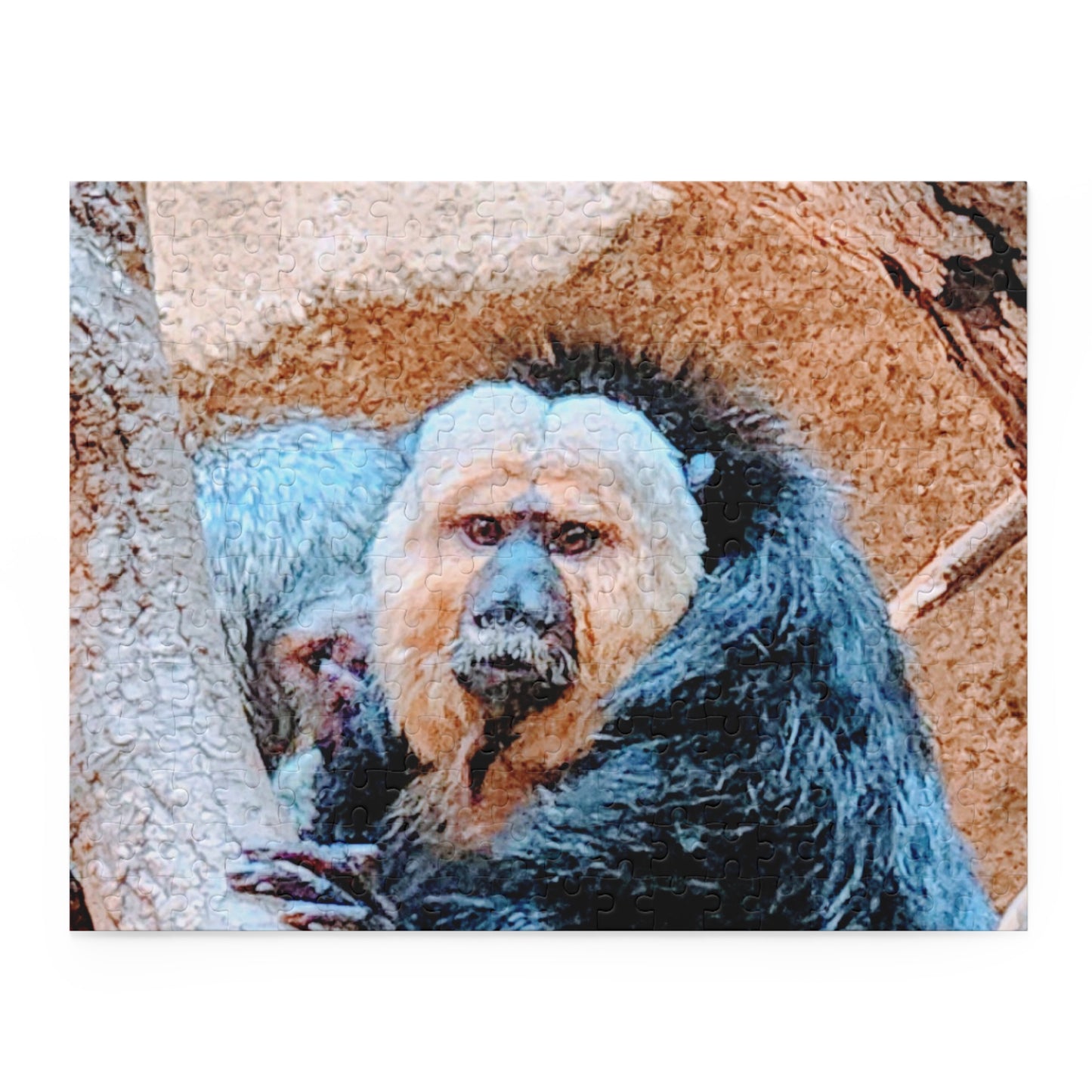 White-faced Saki Monkey Puzzle