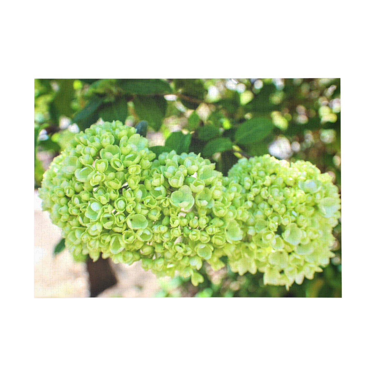 Snowball Blossom Cluster Puzzle